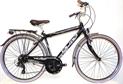 BICICLETTA MOVING UOMO 21V